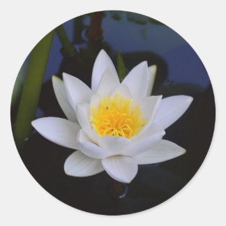 Witte Lotus Flower Ronde Sticker