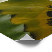 Witte lotus poster (Hoek)