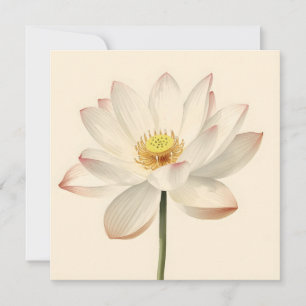 Witte Lotusbloem Kaart