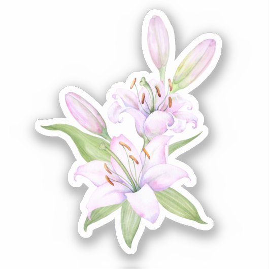 Witte luiken, waterverf bloem sticker (Voorkant)