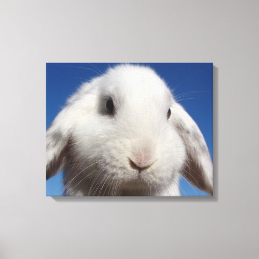 Witte lus canvas afdruk (Voorkant)