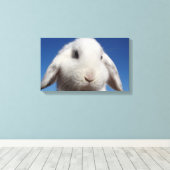 Witte lus canvas afdruk (Insitu (Houten vloer))