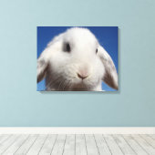 Witte lus canvas afdruk (Insitu (Houten vloer))