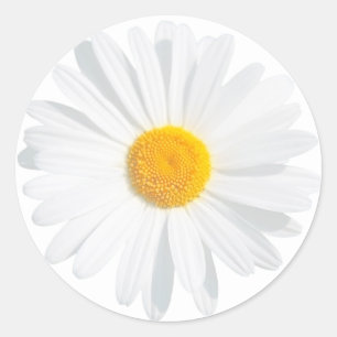 witte maaltijd ronde sticker