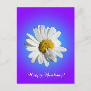 Witte Madelief Bloem Bloemig Paars Blauw Gradiënt Briefkaart