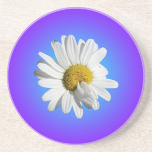 Witte Madelief Bloem Bloemig Paars Blauw Gradiënt Zandsteen Onderzetter