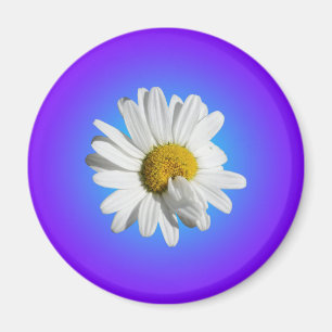 Witte Madelief Bloem Bloemig Paars Blauw Verloop Magneet