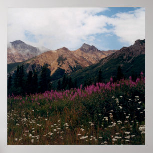 Witte Madelief en Paarse Epilobium-bergenfoto Poster