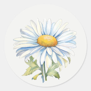 Witte Madelief Tuin Bloem Florale kunst Ronde Sticker