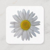 Witte madeliefje bloem, bloeiende madeliefje, bloe vierkante visitekaartje (Voorkant)