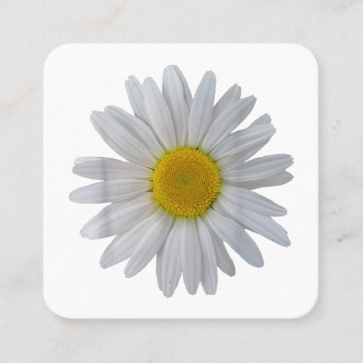 Witte madeliefje bloem, bloeiende madeliefje, bloe vierkante visitekaartje (Voorkant)