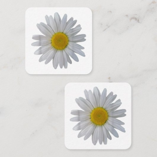 Witte madeliefje bloem, bloeiende madeliefje, bloe vierkante visitekaartje (Voorkant / Achterkant)