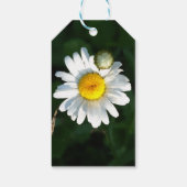 Witte Madeliefjes Aangepaste Gift Tag Cadeaulabel (Achterkant)