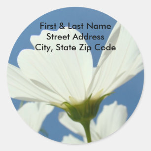 Witte madeliefjes bloemen adreslabels blauwe lucht ronde sticker
