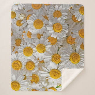 Witte madeliefjes: mooie bloemige achtergrond sherpa deken