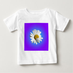 Witte Madeliefjesbloem Bloemig Paars Blauw Verloop