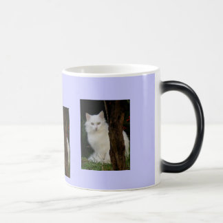 witte magische kat mok