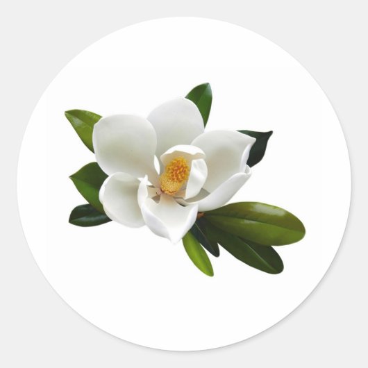 witte magnolia bloei ronde sticker (Voorkant)