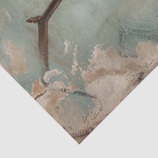 Witte Magnolia Bloemen Decoupage Tissuepapier (Detail)