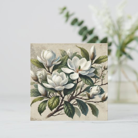 Witte Magnolia Botanisch (Staand voorkant)