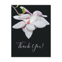 Witte Magnolia