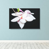 Witte Magnolia Canvas Afdruk (Insitu (Houten vloer))