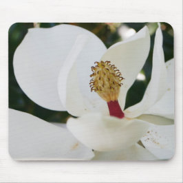Witte magnolia flower giften bloesem close muismat