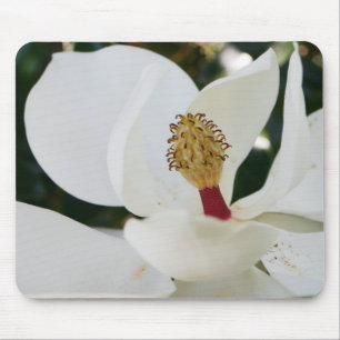 Witte magnolia flower giften bloesem close muismat