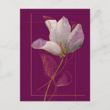 Witte Magnolia Goud Lijn Magenta