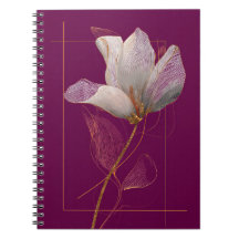 Witte Magnolia Goudlijn Magenta