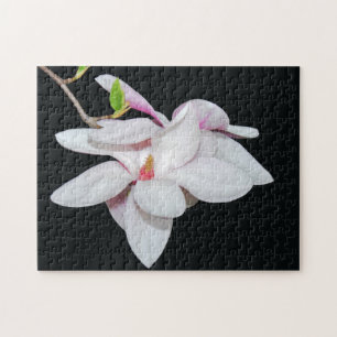 Witte Magnolia Legpuzzel