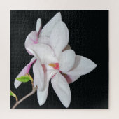 Witte Magnolia Legpuzzel (Verticaal)
