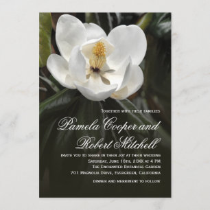 Witte Magnolia Moderne Bloemen Kaart