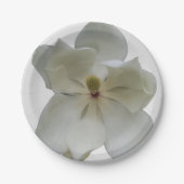Witte Magnolia op papier bord (Voorkant)