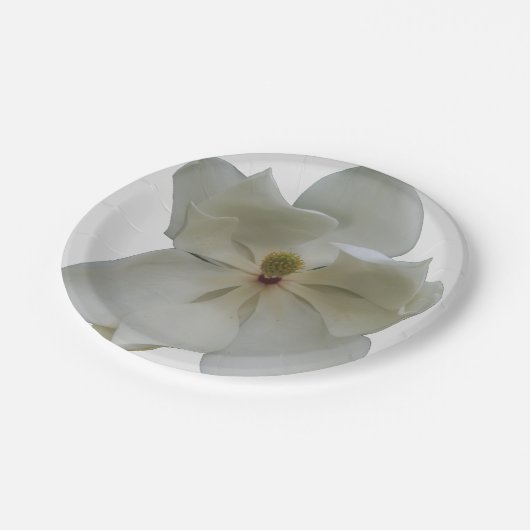 Witte Magnolia op papier bord (Gekanteld)