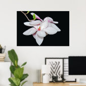 Witte Magnolia Poster (Thuiskantoor)