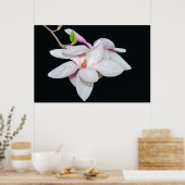 Witte Magnolia Poster (Keuken)