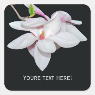 Witte Magnolia Vierkante Sticker
