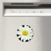 Witte maisy chrysanthemum bloemen magneet (Insitu (Vaatwasser))