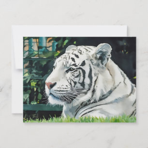 Witte Majesteit - Resting Tiger Wildlife Briefkaart