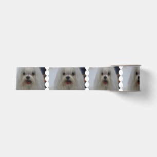 Witte Maltese hond Grosgrain Lint