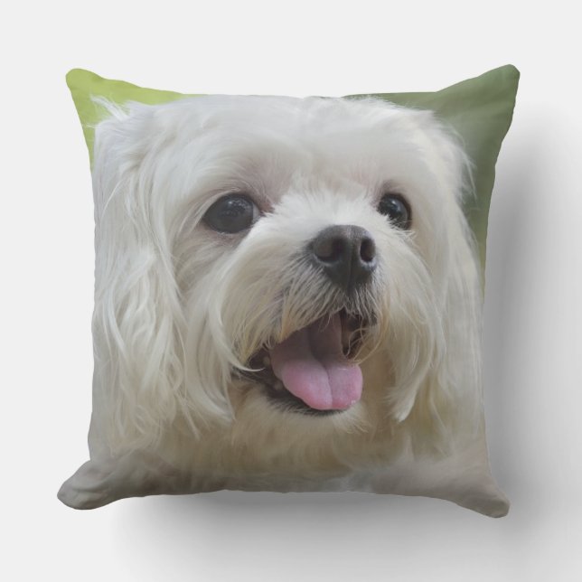 Witte Maltese hond Kussen (Voorkant)