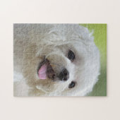 Witte Maltese hond Legpuzzel (Horizontaal)