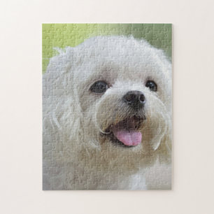 Witte Maltese hond Legpuzzel