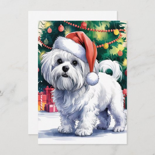 Witte Maltese hond met kerstmuts Feestdagenkaart (Voorkant / Achterkant)