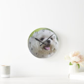 Witte Maltese hond Ronde Klok (Huis)