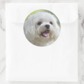 Witte Maltese hond Ronde Sticker (Tas)
