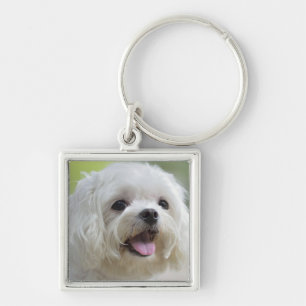 Witte Maltese hond Sleutelhanger