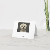 Witte Maltese Puppy Dog Blank Note Kaart (Achterkant)