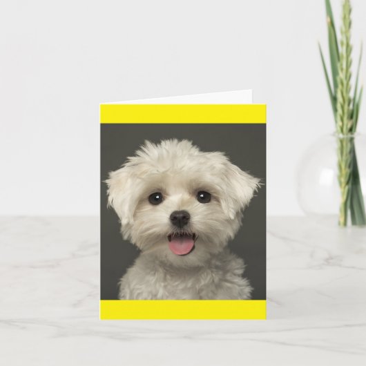 Witte Maltese Puppy Dog Blank Note Kaart (Voorkant)